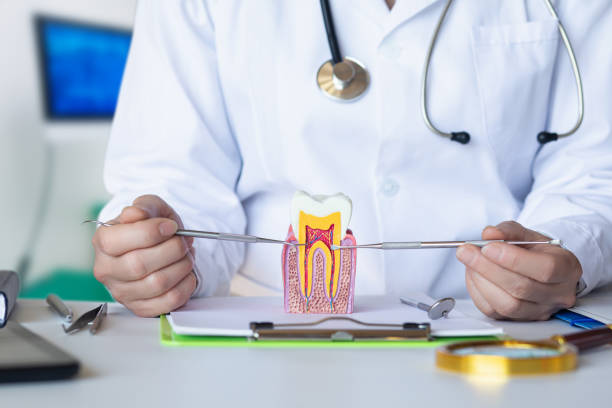 Best Emergency Treatment for Toothache in Rosemount, OH